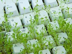 nginx配置域名自動跳轉(zhuǎn)到帶www的域名